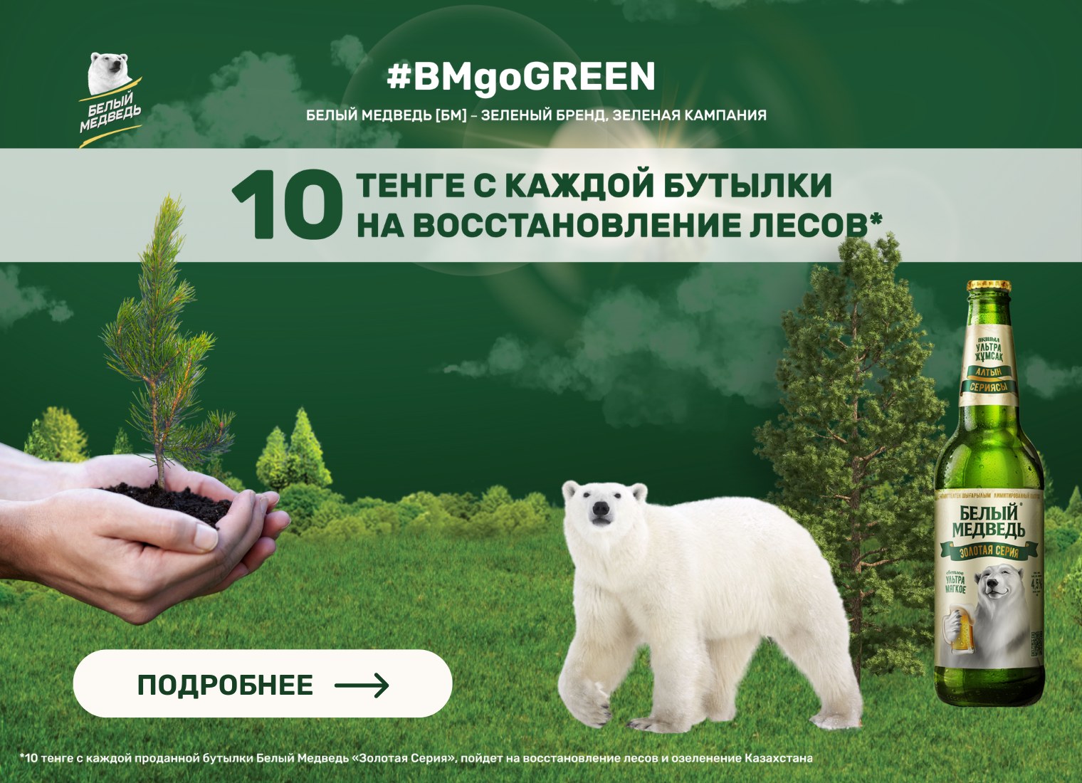 Green bear banner image